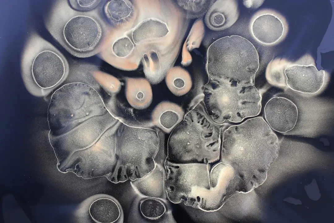 Upptäck embryo illustration