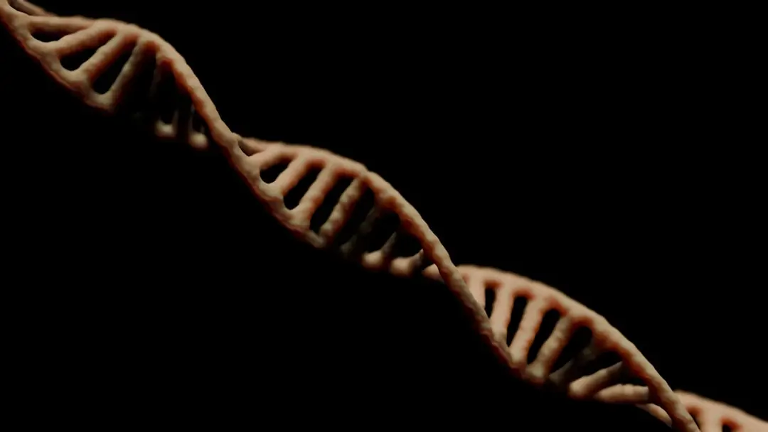 Gen i DNA och kromosom illustration