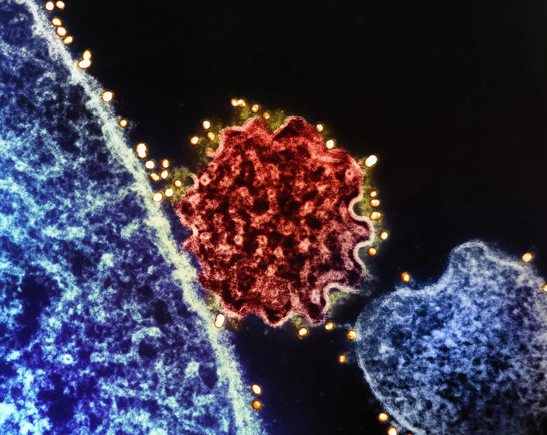 Ribosom som läser mRNA och bygger ett protein illustration